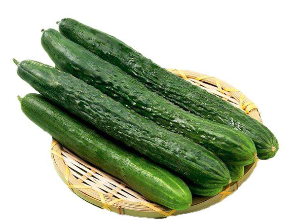 食堂承包
